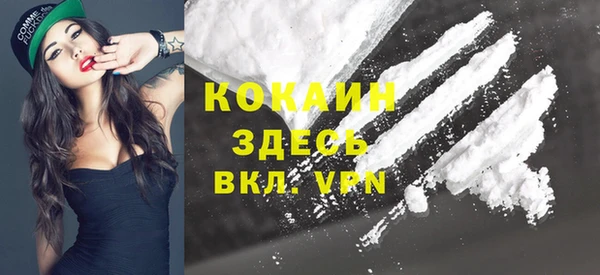 спиды Алзамай