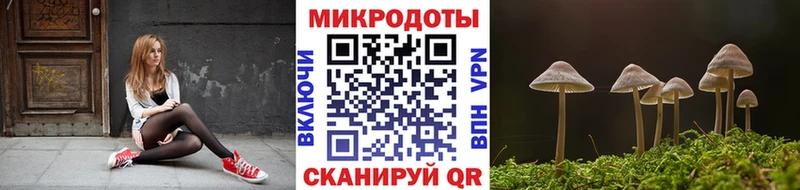 Галлюциногенные грибы Cubensis  цена   Сосновка 